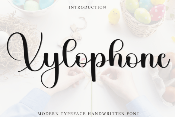 Why Xylophone Font Became My Go-To Script for Campaign Visuals